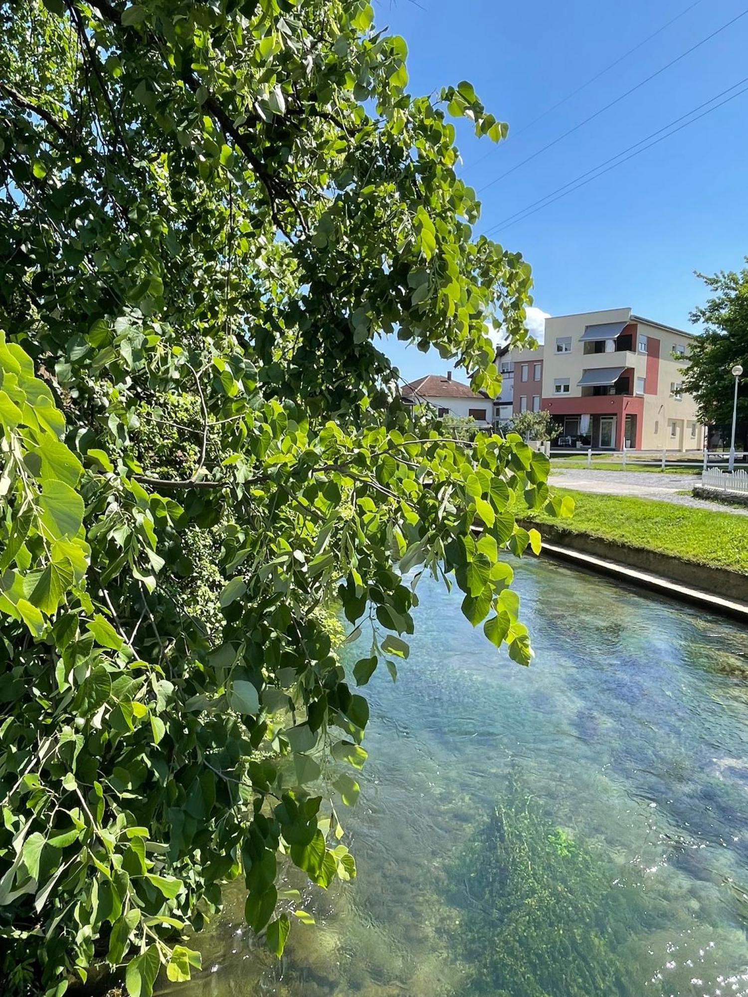 Apartment Vila Tara Bihac Exterior photo